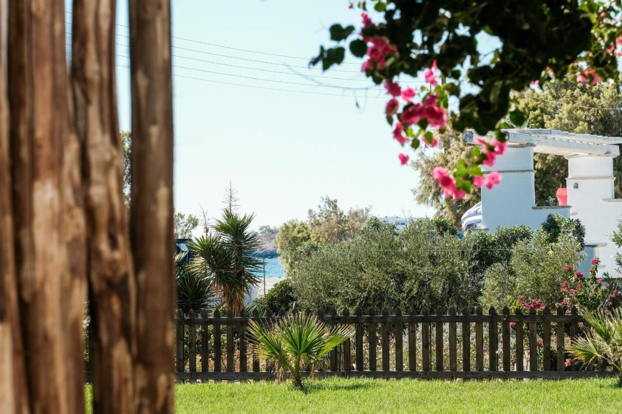 Golden Beach Studios & Suites Тинос Екстериор снимка