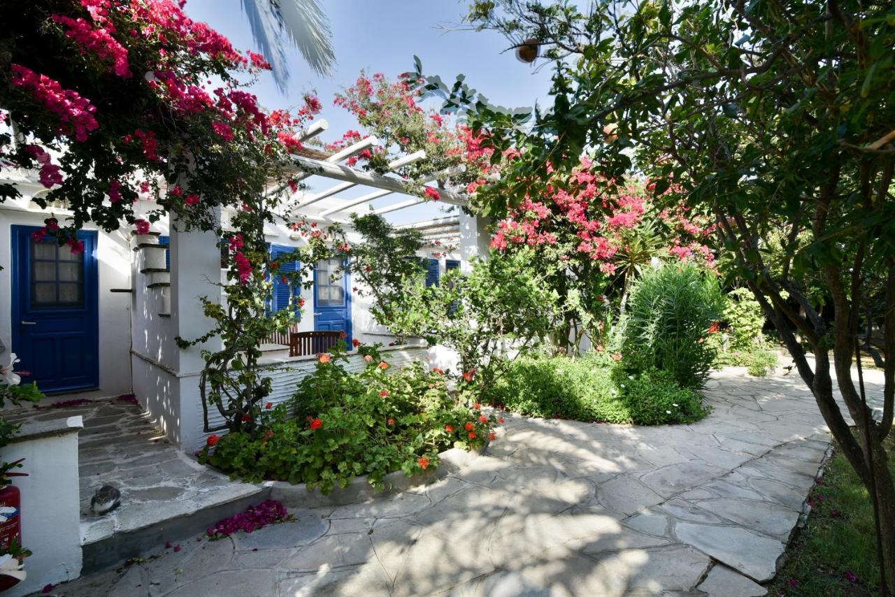 Golden Beach Studios & Suites Тинос Екстериор снимка