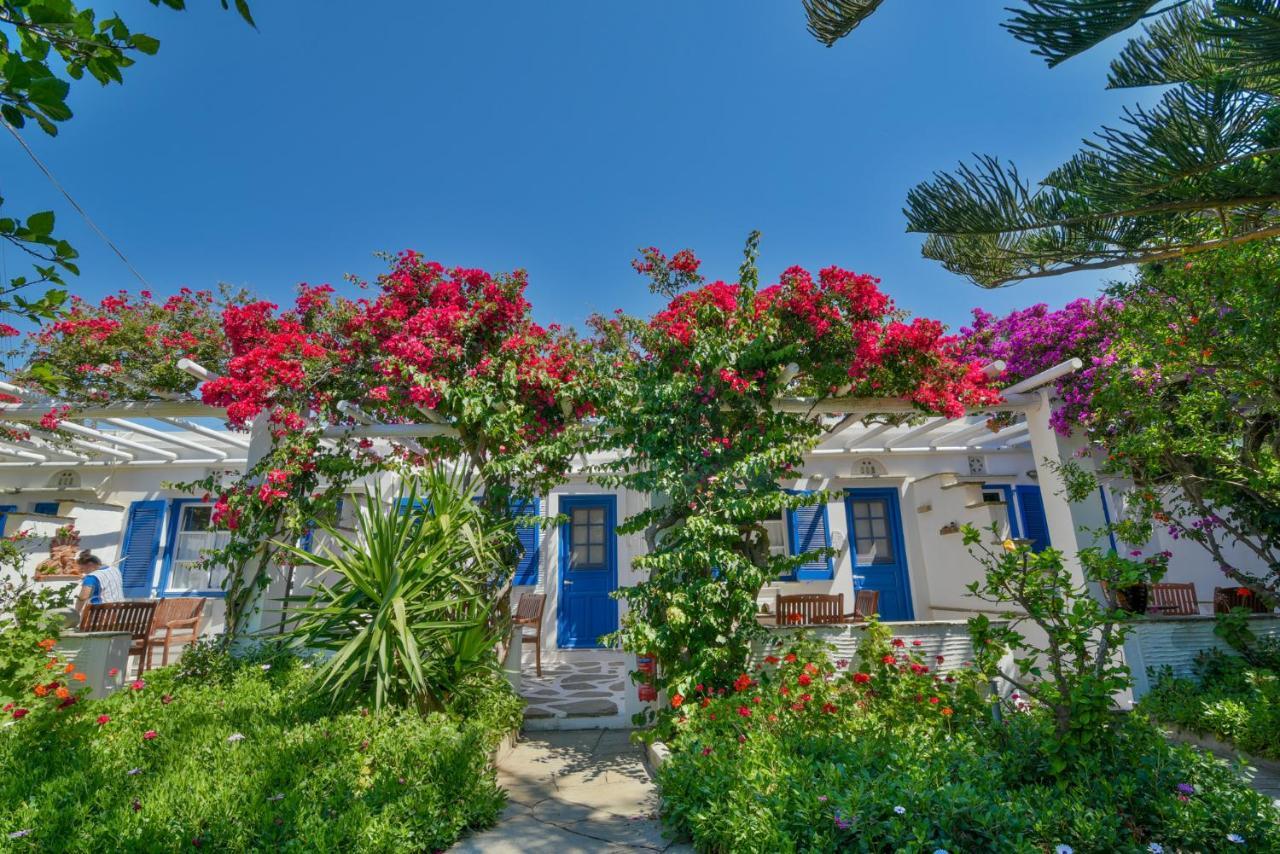 Golden Beach Studios & Suites Тинос Екстериор снимка