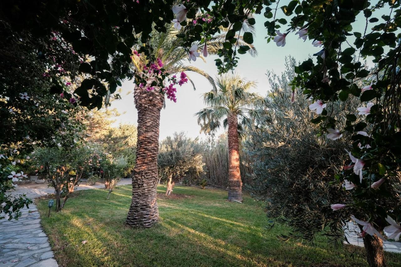 Golden Beach Studios & Suites Тинос Екстериор снимка