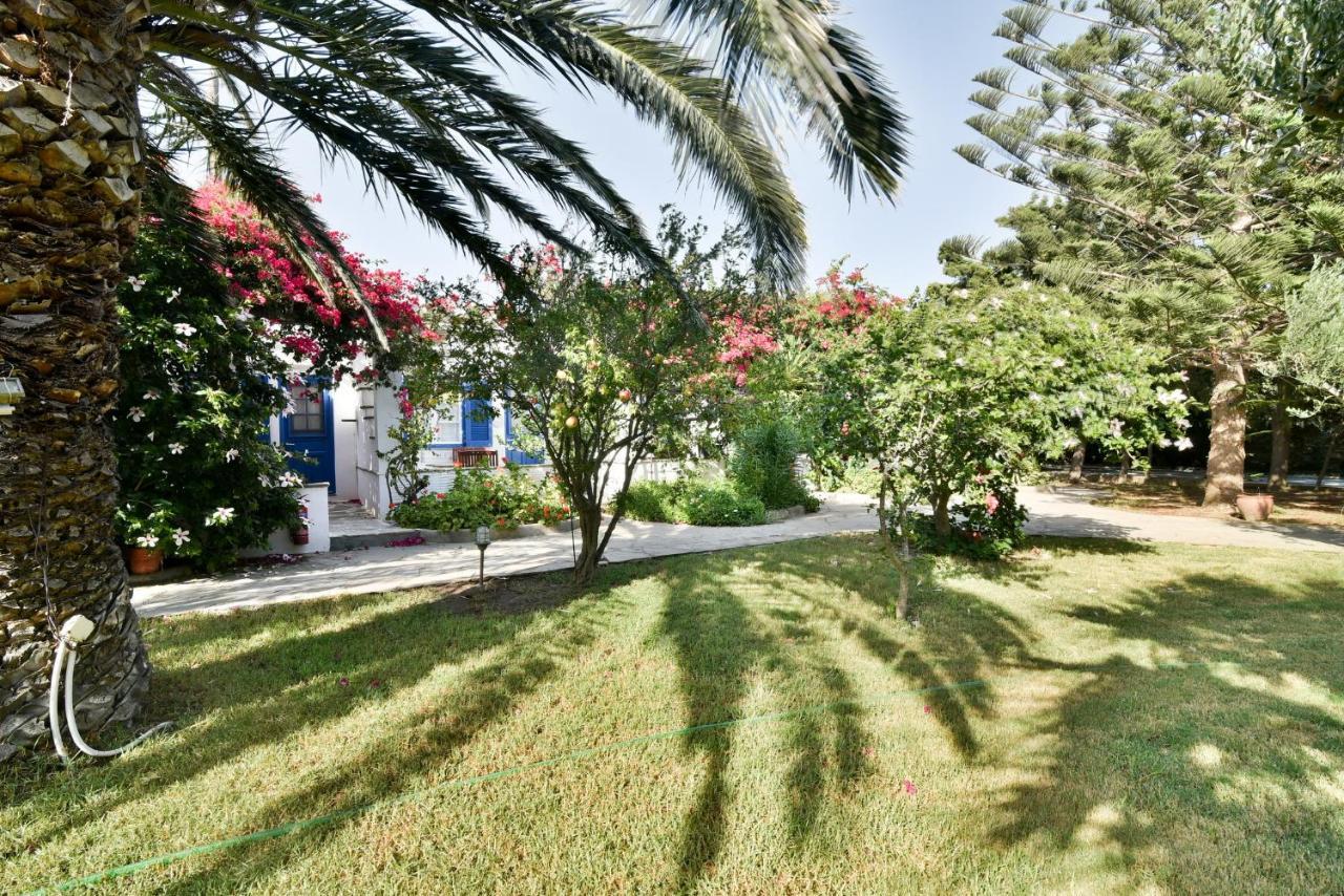 Golden Beach Studios & Suites Тинос Екстериор снимка